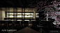 【品川设计】万象城赤坂日本料理（新）-餐饮空间-室内设计联盟