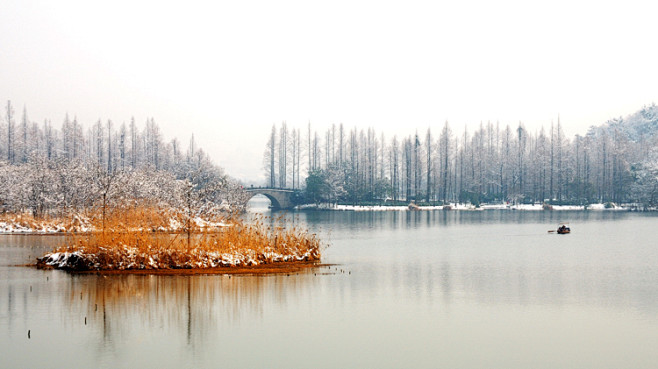 杭州西湖，冰天雪地下的最后一抹黄色。