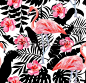 火烈鸟和木槿水彩图案、 鹦鹉和热带植物剪影背景 - 图库插图: 89290762