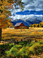 "Gold+Around+The+Moulton+Barn"+by+Jerry+Patterson,+Culpeper,+VA+//+Mormon+Row's+Moulton+Barn's+in+fall's+colors,+Teton+National+Park,+WY,+USA+//+Imagekind.com+--+Buy+stunning,+museum-quality+fine+art+prints,+framed+prints,+and+canvas+prints+dire