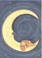 Pomeranian Sleeping on the Moon  Cindi Lynch