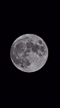 十五的月亮“十四圆”！小布的网友带来一大波美图