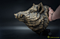 Large Wild Boar Head wall Sculpture. Bronze, Nikolay Vorobyov : Large Wild Boar head (30cm) was completed. The Digital sculpture once again reworked. New master-copy and new mold for casting are made. Finally, we have come to the decision regarding the fa