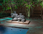 Contemporary Landscape and Pool Lap Design : A family in West University contacted us to design a contemporary Houston landscape for them. They live on a double lot, which is large for that neighborhood. They had built a custom home on the