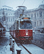 維也納的冬天，連空氣里都飄散著舒伯特的小夜曲。 ​​​​