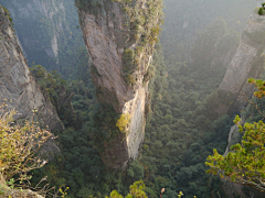 ---LC---采集到場景