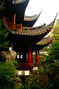 Yuyuan Garden, Shanghai, China.  This was my little boy's favorite place in Shanghai.