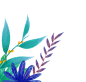 手绘植物 插画 PNG