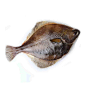 OceanGala海鲜盛宴速冻黄金鲽鱼1kg(2-3条) 海鲜水产 深海鲽鱼-天猫超市-天猫Tmall.com-上天猫，就购了-理想生活上天猫