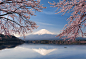 Quan Sun在 500px 上的照片富士山下