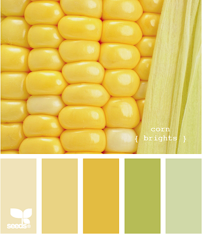 corn brights