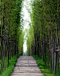 The Floating Gardens — Yongning River Park, Taizhou City, Zhejiang Province, China