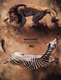 国家地理平面广告 - 非洲最致命的 - 狮子X斑马 