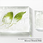 Skin brightening for transparent, hydrated skin Saururus Chinensis Water 비주얼 이미지