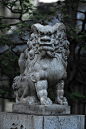 Buddhist Guardian Lion, Matsuchiyama Shoden temple, Japan