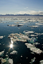 流冰，格陵兰海斯匹次卑尔根关闭