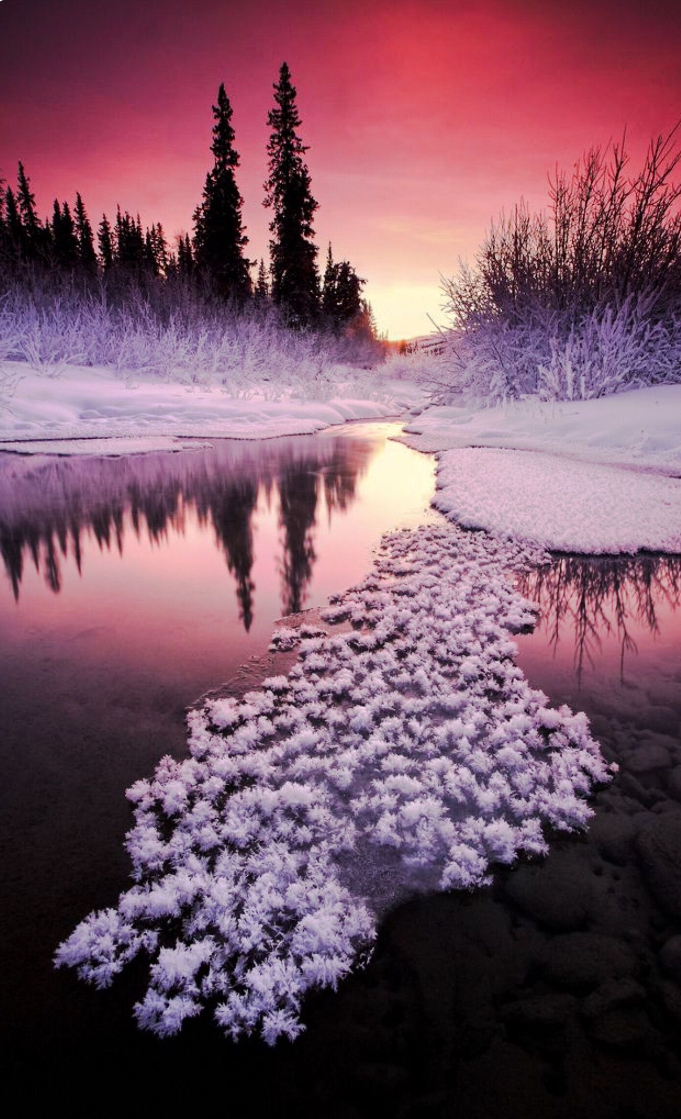 447793f19c7ddddf3dcf7e5dd4a75bdac952a0c25d64d-Hn9RtU