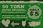 50 High-Res Torn Paper Brushes