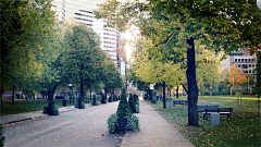 花罂采集到场景外景