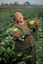 woman farmer harvesting cabbages, Hlynske, Ukraine | Jim Richardson, National Geographic