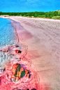 粉红色海滩，撒丁岛，意大利