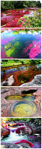 真正的彩虹河，见过咩？美得惊艳！哥伦比亚有一条名叫CanoCristales的河，河里有不同颜色的藻类植物，由于它在每年的一段时期内会显现好几种颜色，人们把它称为彩虹河或五色河~ 可此景只昙花一现~