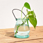 zakka 杂货 田园风玻璃吊瓶 花瓶花器 水培 绿植容器 玻璃烛台瓶