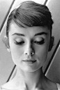 Audrey Hepburn