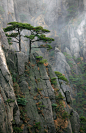 Landschaften - Huangshan