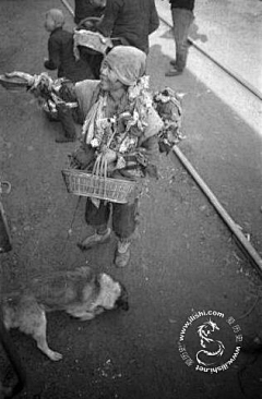 阿尔弗智德采集到《1942》饥荒真实照片