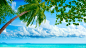 clouds landscapes nature ocean palm wallpaper (#2935610) / Wallbase.cc