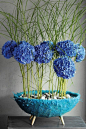 #微距#  #鲜花#   灬铃兰灬采集
Фото Синие цветы в декоративном кашпо