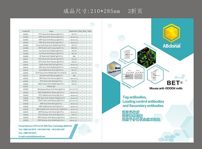 生物科技两折页,生物,科技,两折页,六边...