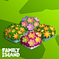 Photo by Family Island Game on February 13, 2020. 图片中可能有：花、文字可能说的是“FAMILY ISLAND”