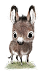 sydwiki: “ I love donkeys!!!! ”: 