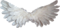 白, 天使, 翅膀, 羽毛, 天堂, 天使的翅膀, 宗教, 符号, 灵性, 精神