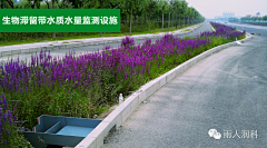 xiongxiongandweiwei采集到道路景观