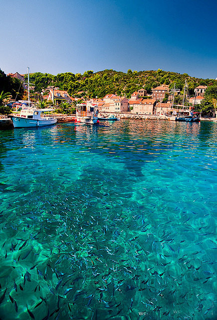 希腊的克里特岛海滨村。美丽的心情绽放在海...