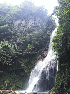 百味糖采集到景语