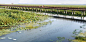 005-Weishan Wetland Park by aecom