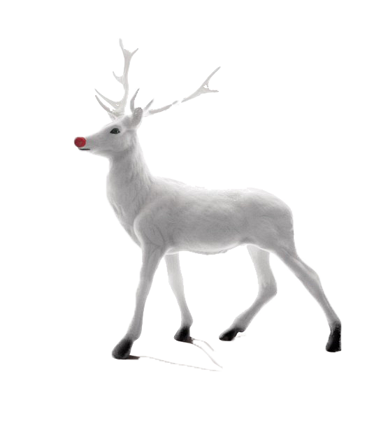 白色的麋鹿 #白色# #麋鹿# #圣诞#...