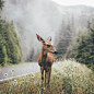 Nature Through the Lens of Dylan Furst