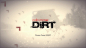 Colin Mcrae:DiRT : Colin McRae: DiRT User Interface