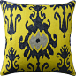 Tandonia Pillow transitional-decorative-pillows