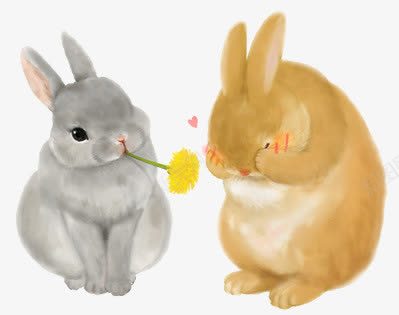 4538b3199f89a5ebb40c6a2548394734331f7da52ae2-9bSrrY