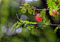 Photograph Raining by Edwin Leung on 500px 似乎是为华裔摄影师