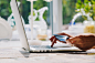 woman using laptop with credit card in hand by Konstantin Kolosov on 500px