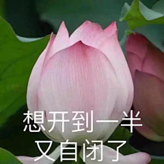 瑶菇凉丶采集到搞  笑。