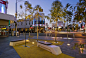 Nicholson Street Mall by HASSELL « Landscape Architecture Works | Landezine