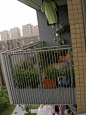 ++6楼阳台转战1楼院子++~~~P99，4/7小更~~。。。 装修日记 篱笆网 - 年轻家庭 生活社区
